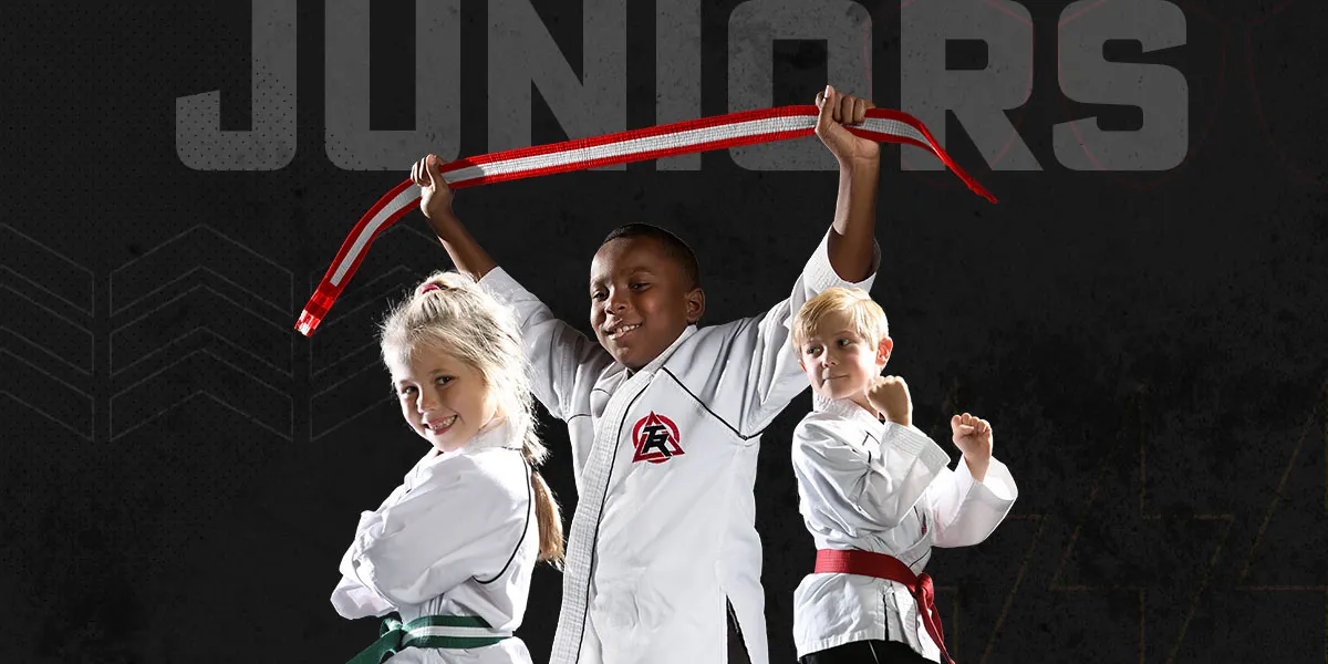 kids martial arts