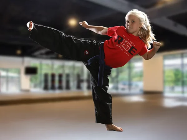 kids martial arts lessons